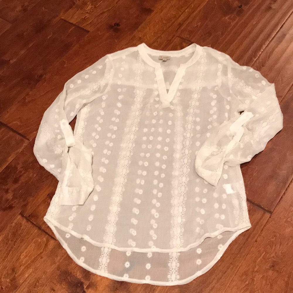 Cremieux sheer blouse